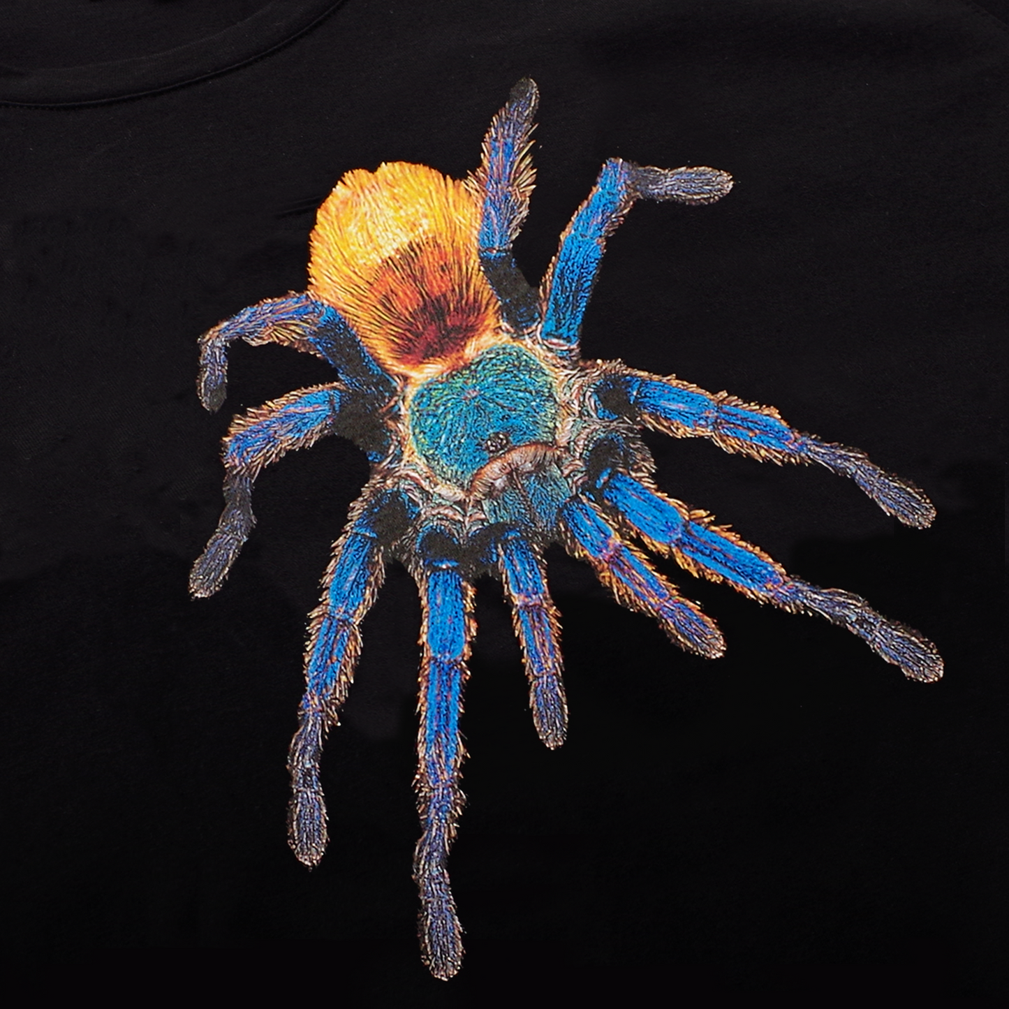 Spider T-Shirt